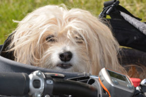 Freizeitaktivitäten