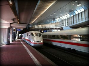 Lange Zugreise mit Hund