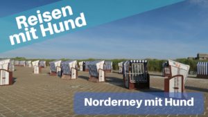 Norderney mit Hund