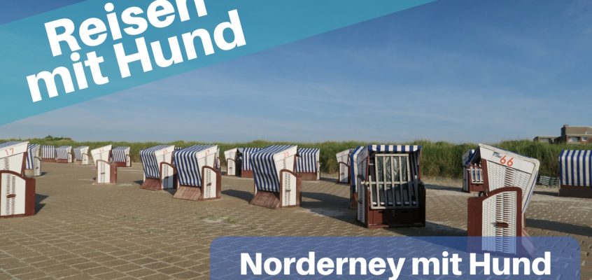 Urlaub Norderney mit Hund Ist das entspannend? Spassbremsen