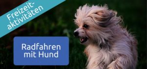 Radfahren mit Hund
