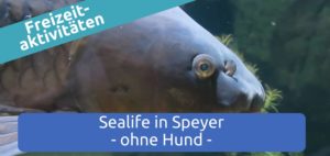 Sealife Speyer