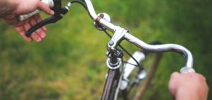 Fahrradfahren mit Hund