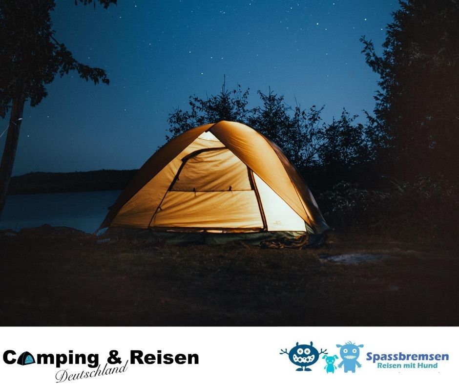 Zugfahren mit Hund in Deutschland