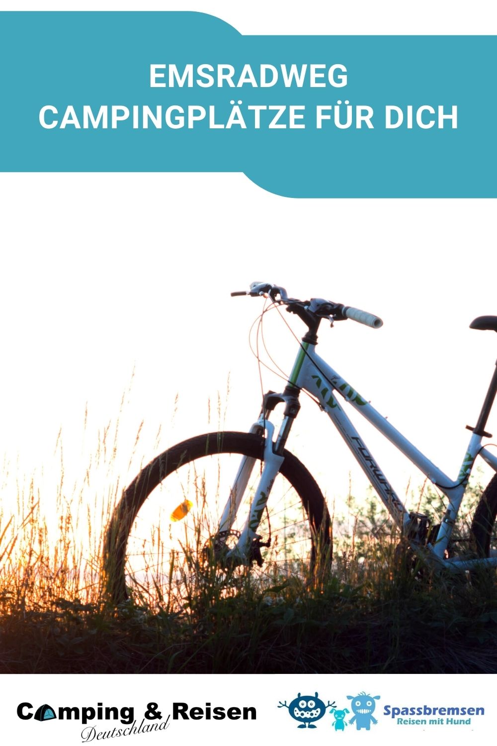 Zugfahren mit Hund in Deutschland