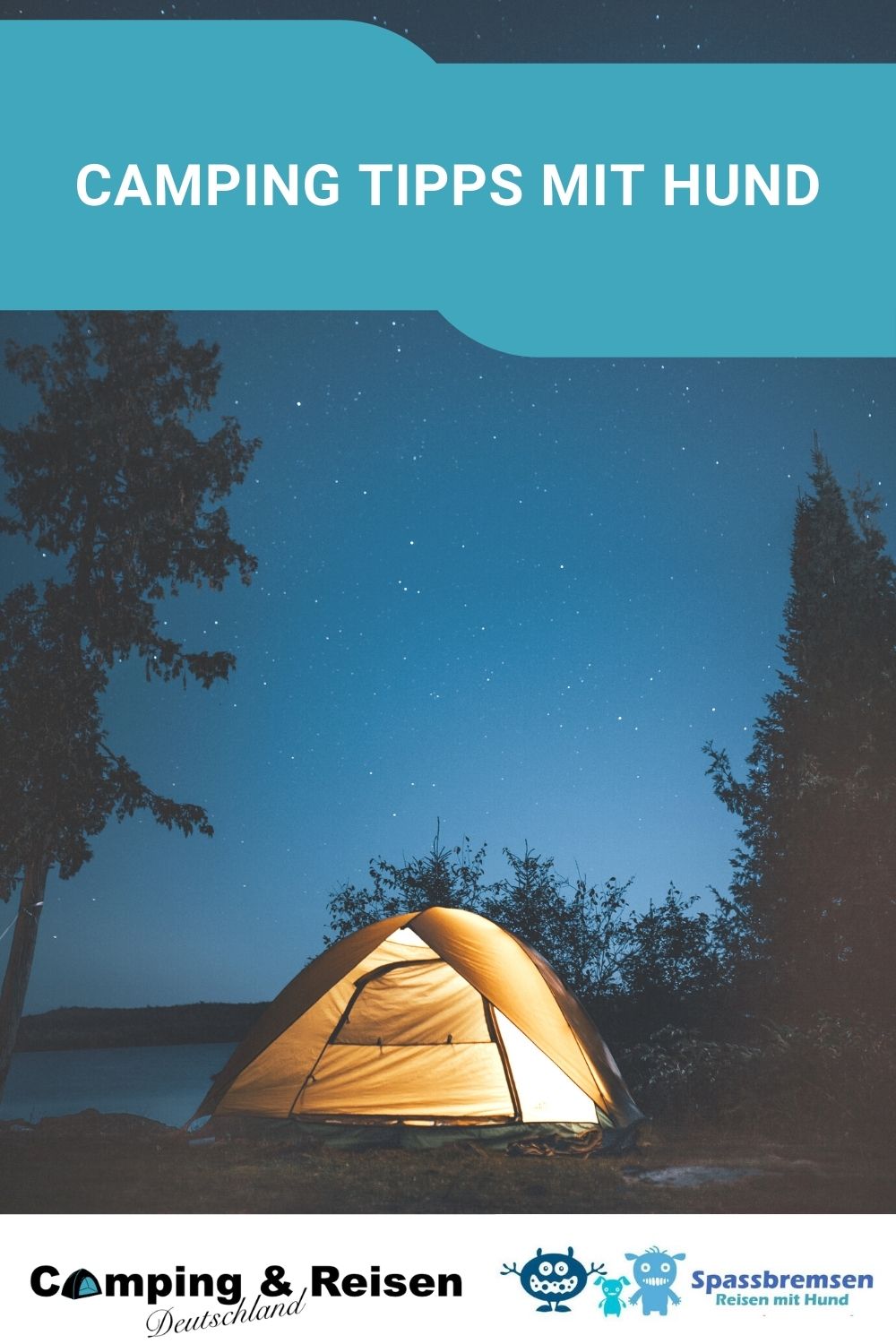 Zugfahren mit Hund in Deutschland