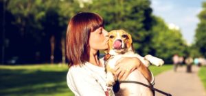 Reisen mit Hund ohne Auto